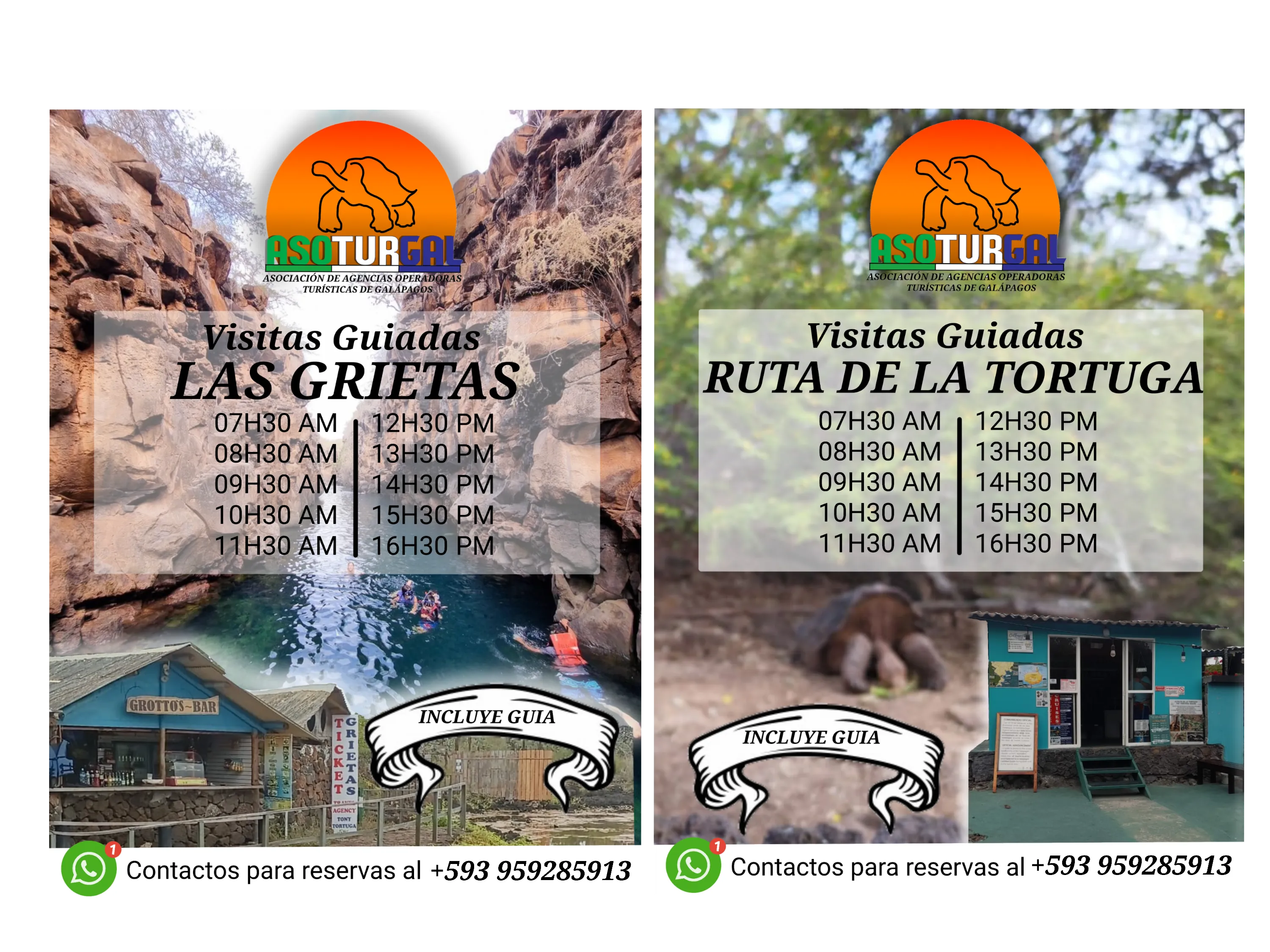 Horarios ASOTURGAL - Ruta de la Tortuga y Las Grietas